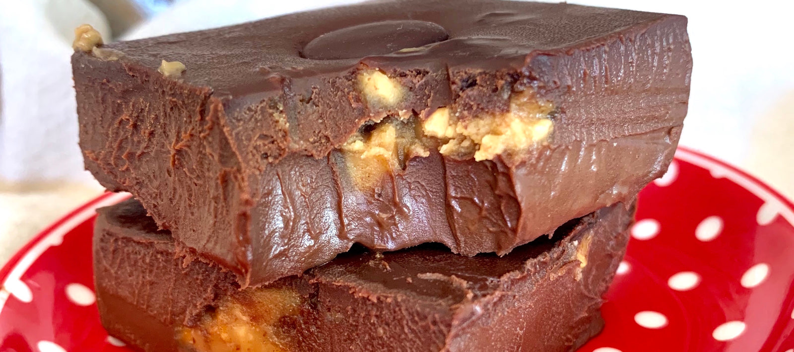 Chocolate Peanut Butter Fudge (Vegan and Gluten Free)