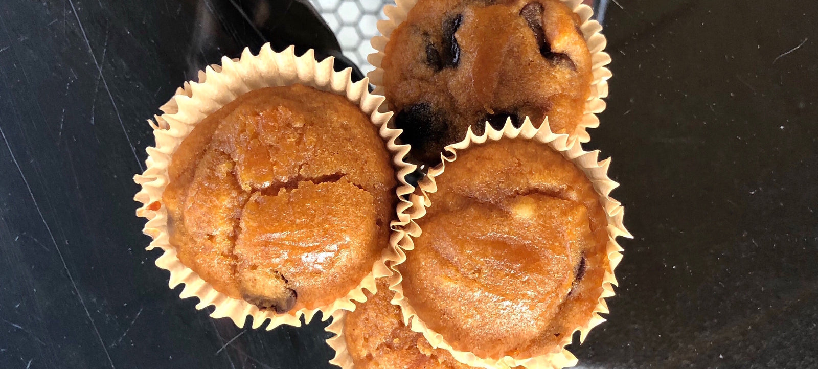 Grain-Free Chocolate Chip Muffins