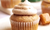 GLUTEN FREE CINNAMON CHURRO CUPCAKES